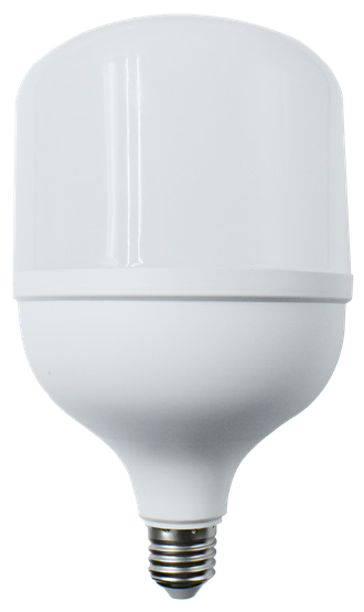 OSRAM T Bulb