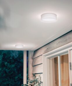 Philips Eridani Lắp Nổi